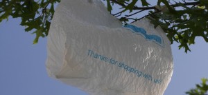 The upcoming Chicago plastic bag ban is expected to have profound environmental effects, as 3 to 5 percent of the 3.7 million bags used daily in Chicago end up as litter. (Alex Eflon / Creative Commons)