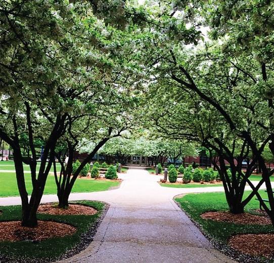 Instagram photo from the @IAmDePaul account where a different DePaul
student runs the account every week showing off life at DePaul. (Photo courtesy of Teresa Nguyen)