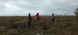 Members of Chicago Wildsounds record sounds at one of their sights near the lake. The student organization seeks to record the natural soundscape, a tough task given the urban setting of Chicago. “We want to make those sounds available because they’re not just scientifically interesting, they’re beautiful,” adviser Liam Heneghan said. (Photo courtesy of Chicago Wildsounds)