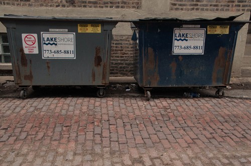 Rats are able to find food, water and shelter within the garbage that is in dumpsters and alleys. They are also able to find food and shelter on subway tracks in many cities, including Chicago, due to the litter that is left by passengers. (Maggie Gallagher / The DePaulia)