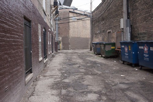 Due to the overflowing garbage and old food that has been thrown out in alleys, rats and other rodents can frequently be found in them. (Maggie Gallagher / The DePaulia)