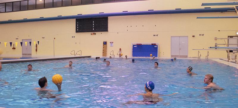 DePaul’s Water Polo Club practices at Northeastern University. The club formed three years ago during founder Rashid Klostermann’s sophomore year. (Emily Brandenstein / The DePaulia)
