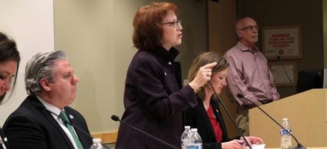 Ald. Michele Smith makes case for 43rd Ward