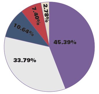 In the 2015 mayoral election, Rahm Emanuel received 45.39 percent of the vote and Jesus "Chuy" Garcia receieved 33.79 percent. Following were Willie Wilson, Robert "Bob" Fioretti and William Walls. (Erin Yarnall / The DePaulia) Source: Chicago Board of Elections