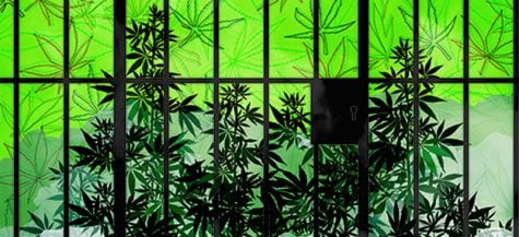 What is at stake with marijuana legalization