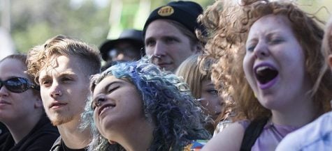 Riot Fest announces move to Douglas Park