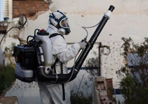 Zika virus infects 31