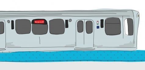 CTA ridership hits record for second straight year after huge increase in ‘L’ use
