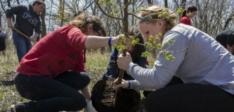 Students find solace in volunteering