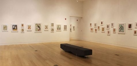Art fans flock to ‘The Secret Birds’ at DePaul Art Museum