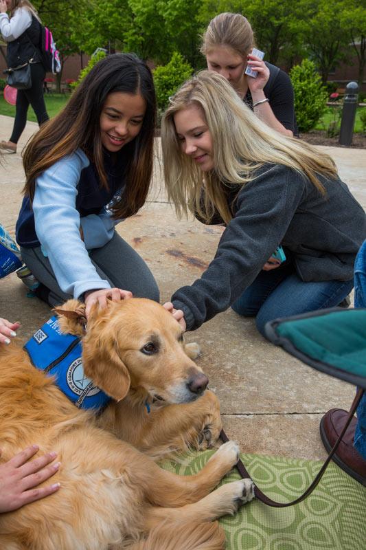 Photos%3A+Therapy+dogs+bring+cuddly+comfort+to+campus