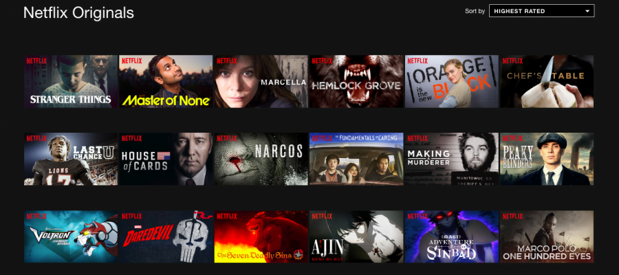 Netflix differentiates itself in the competitive media market by producing original shows. (Maddy Crozier/The DePaulia)