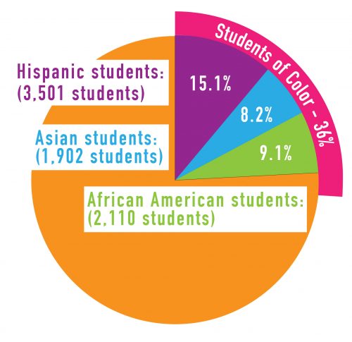 diversitypiegraph-02