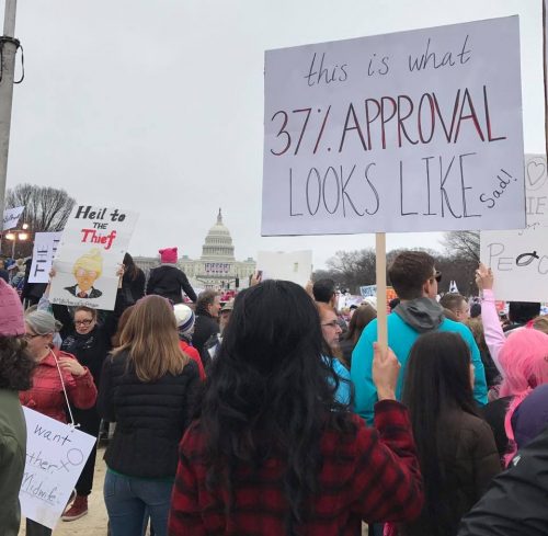 Protesters stand on the National Mall in Washington D.C. Many held signs opposing President Donald Trump. (Brenden Moore/The DePaulia)