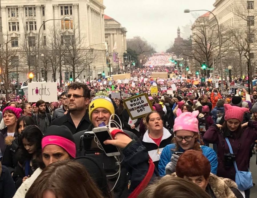 An estimated crowd of a half-million people attended the Womens March on Washington on Jan. 21. (Brenden Moore/The DePaulia)