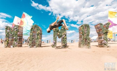 Mamby on the Beach delivers strong Chicago based performances