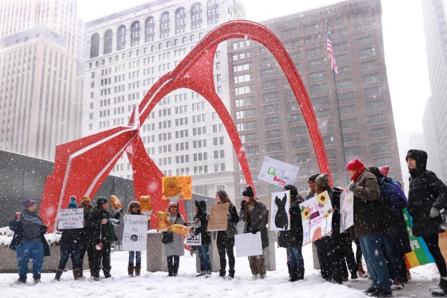 Protestors gather in the Federal Plaza on Jan. 19 for the Young Women’s March Rally. This rally was done in place of the national Women’s March, but still echoed the same message of equal rights.