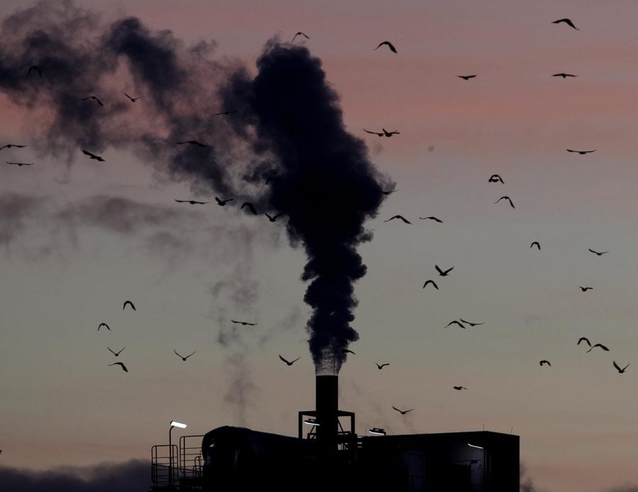 In this Dec. 4, 2018, file photo, birds fly past a smoking chimney in Ludwigshafen, Germany. Development that s led to loss of habitat, climate change, overfishing, pollution and invasive species is causing a biodiversity crisis, scientists say in a new United Nations science report released May 6, 2019.