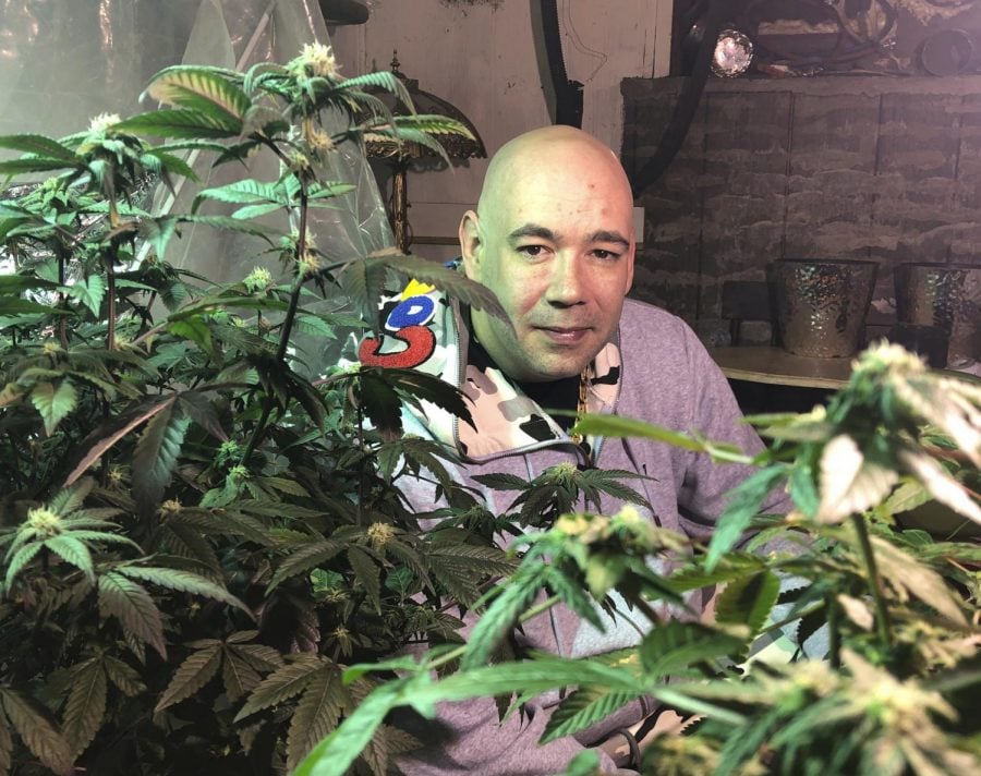 In this April 8, 2019 photo, Bernie Barriere poses for a photo as he tends to two marijuana plants he legally grows in a basement in Bennington, Vt. Home grow laws vary from state to state, with Vermont allowing adults to grow up to two mature plants. Neighboring New York does not allow home grow. You get to pick and choose your own ingredients, Barriere said after watering two plants glinting under grow lights. You get to be in control. You get to craft some amazing flower.