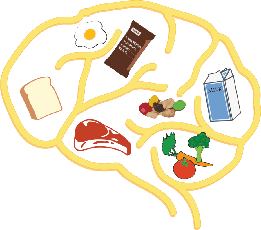 Brain Food: Maintaining focus, retaining information more difficult without proper fuel