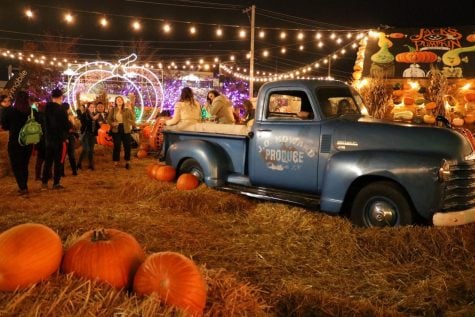 Jack’s Pumpkin Pop-Up brings fall vibes downtown