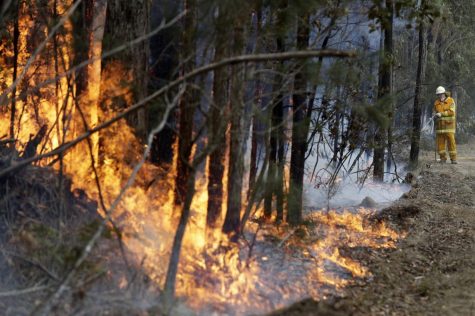 Australian bushfires point to dire future for climate crisis