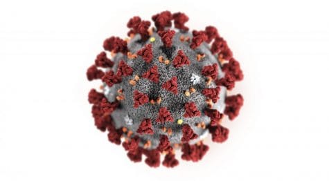 US reports 1st case of person-to-person spread of new virus