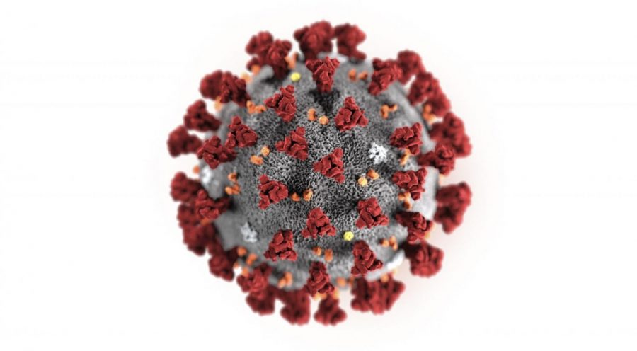 This illustration provided by the Centers for Disease Control and Prevention in January 2020 shows the 2019 Novel Coronavirus (2019-nCoV). This virus was identified as the cause of an outbreak of respiratory illness first detected in Wuhan, China.