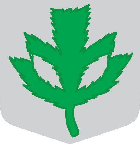 Weeding out misconceptions about recreational cannabis in Illinois