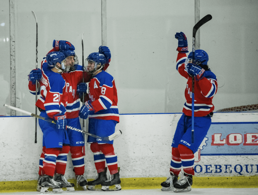 The DePaul hockey team celebrates after making it to the playoffs.
