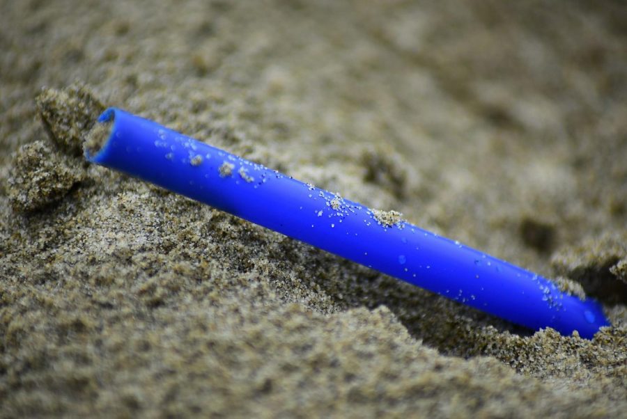 A plastic straw on a beach.
