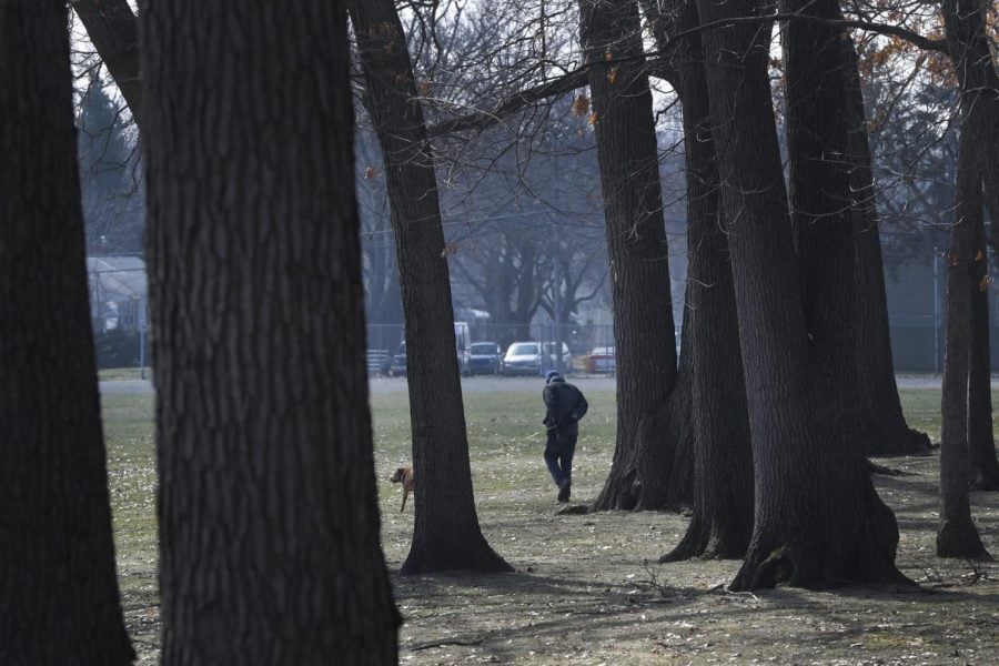 A dog is walked, Wednesday, March 25, 2020, in Oak Park, Mich. Health care and government officials have been urging people to get outside and shake off the COVID-19and coronavirus blues for both our mental and physical health.