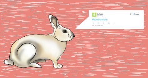 The rise of horny posting