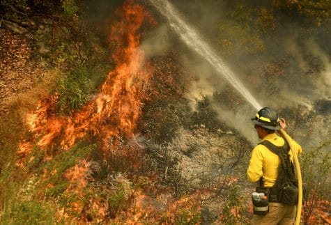 A firefighter puts out a hot spot along Highway 38 northwest of Forrest Falls, Calif., as the El Dorado Fire continues to burn Thursday afternoon, Sept. 10, 2020. The fire started by a device at a gender reveal party on Saturday. (Will Lester/The Orange County Register/SCNG via AP)