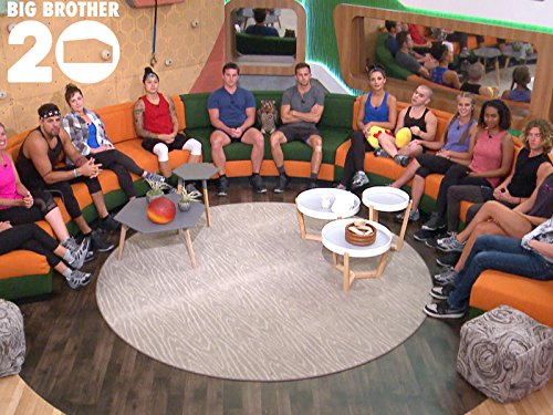 The cast of Big Brother.