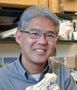 Dr. Kenshu Shimada, who completed a study finding patterns in birth size, continued growth and reproductive mode of the extinct Megalodon shark.