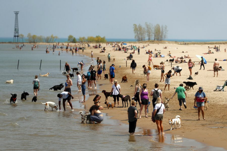 People gather with their dogs in Chicago's Montrose Dog Beach, Tuesday, April 27, 2021. The Centers for Disease Control and Prevention eased its guidelines Tuesday on the wearing of masks outdoors, saying fully vaccinated Americans don't need to cover their faces anymore unless they are in a big crowd of strangers. (AP Photo/Shafkat Anowar)