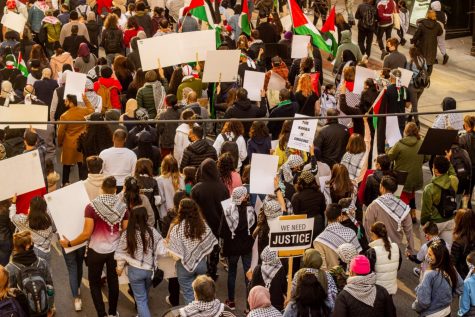 Protestors gather in the streets downtown, holding signs in solidarity with Palestine.