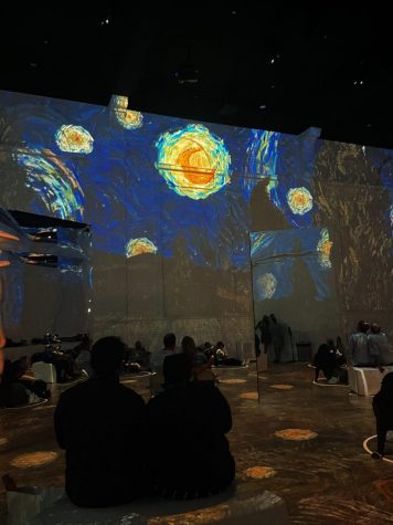 Van Gogh’s life work brought back to life in immersive art experience