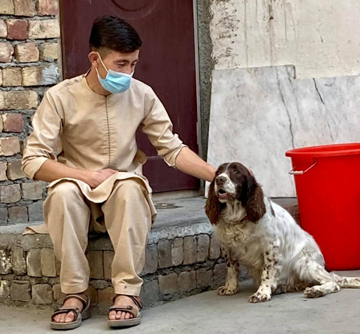 Man petting a lost dog that the Kabul Small Animal Rescue took care of.
Courtesy of Kabul Small Animal Rescues Facebook page.