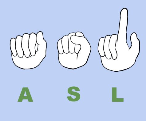 American sign language (ASL) is one of 300. Depaul offers many levels of ASL for students interested.