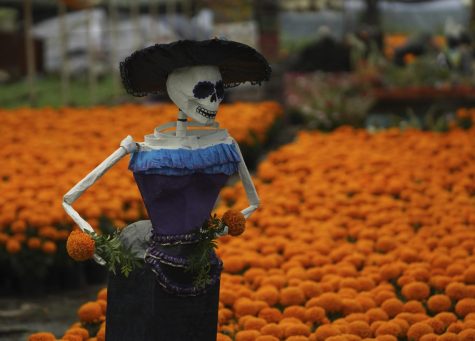 Una Catrina, una muñeca de esqueleto popular, sobre un campo de flores de cempasúchil en Xochimilco, Ciudad de México, el miércoles 19 de octubre de 2022.