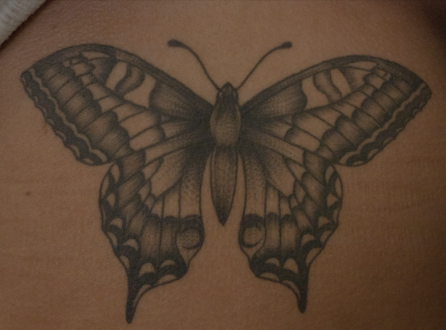 This+popular%2C+hyper-realistic%2C+thin+linework+style+of+a+buttterfly%2C+located+on+Rojas+abdomen+contains+a+variety+of+shading+techniques.
