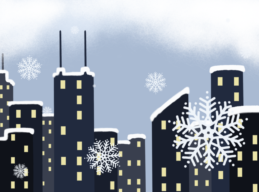 Chicagoans share tips for newcomers experiencing their first Chicago winter