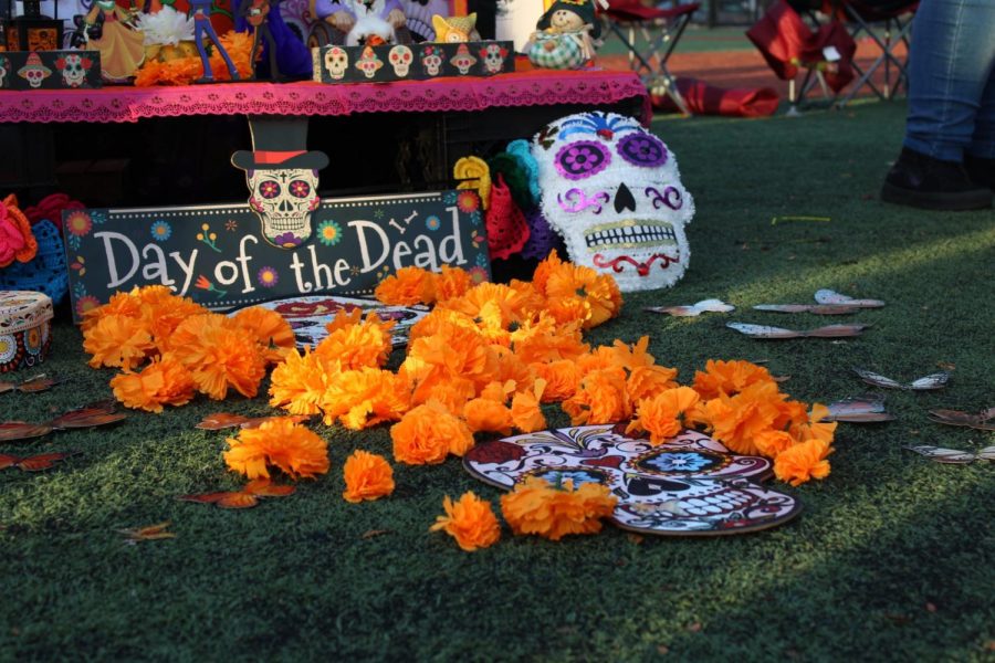 La tradición del Día de Los Muertos dice que el aroma de la flor de cempasúchil guía a las almas de los difuntos en el camino hacia la ofrenda que les espera en el mundo de los vivos.