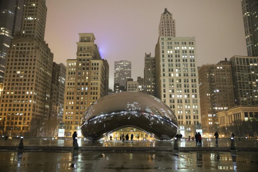 Millennium Park is known for its surplus of tourist attractions. In the winter months, Chicagians can enjoy the views of the city while ice skating next to the Bean in the McCormick Tribune Plaza.