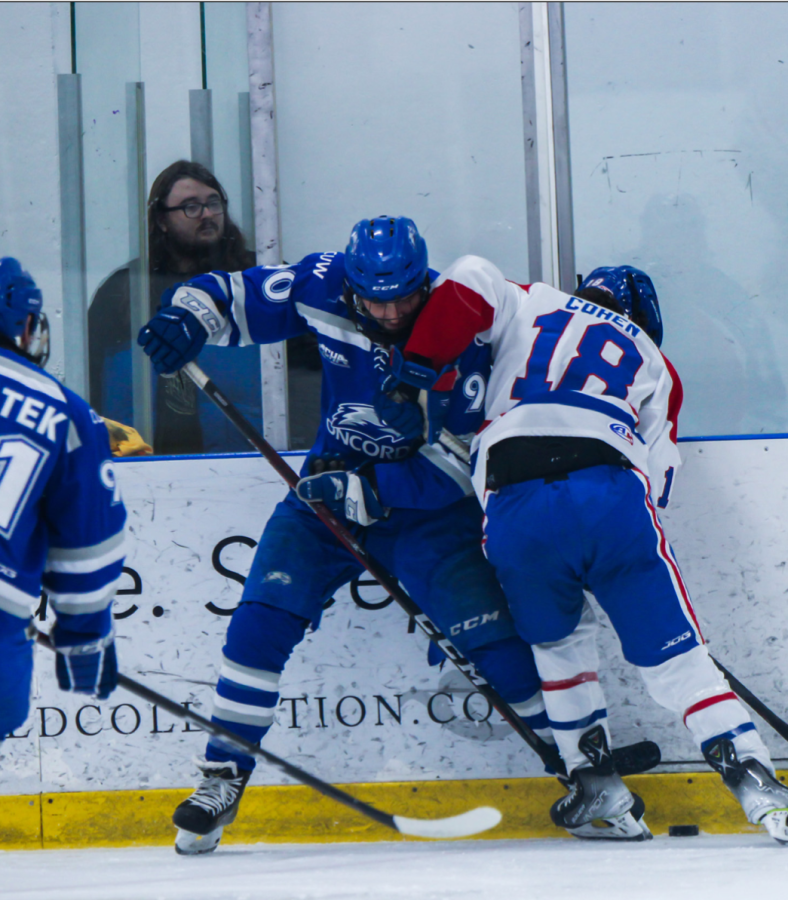 Senior winger Seth Cohen fights for the puck against a Concordia defender during Friday night’s 5-3 win against the Falcons.