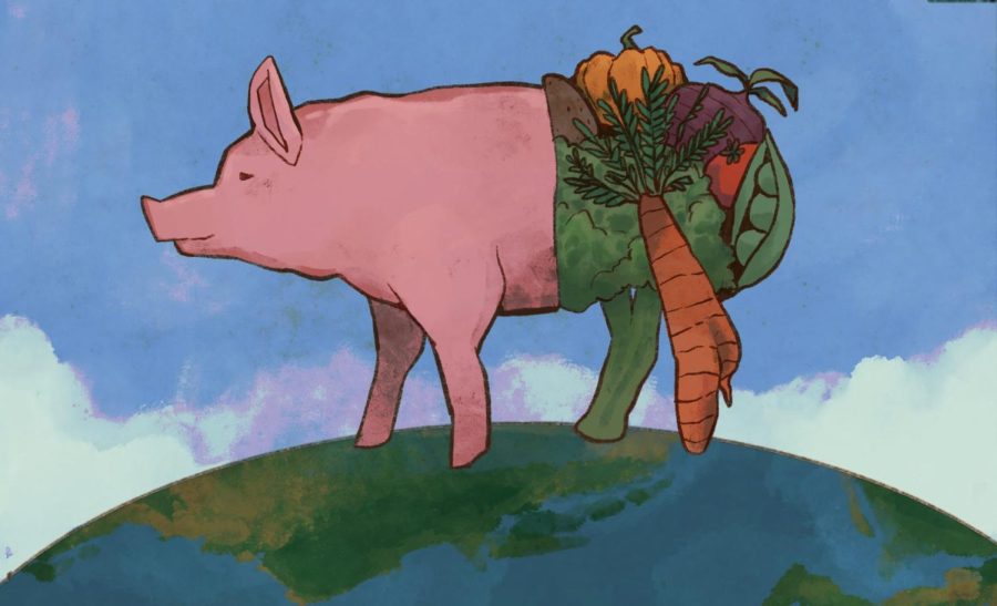 Veganisms complicated role in fighting the climate crisis