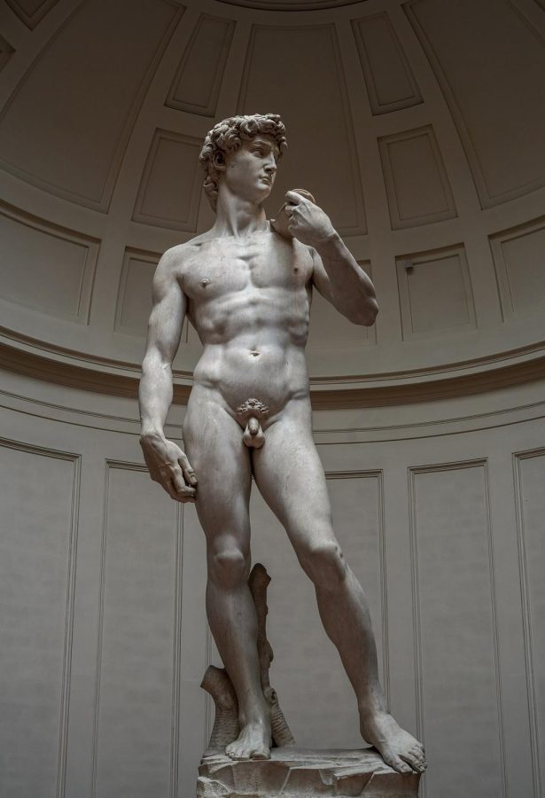 Michelangelos David stands uncensored at the Galleria dellAcademia. Recently controversy has befallen the statue in light of parental right debates.