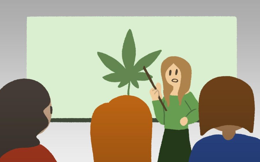 Cannabis studies minor offers social justice perspective
